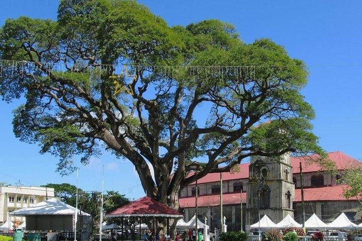 Castries privées ou shopping / transferts