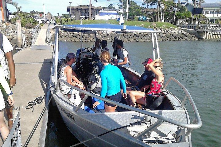 Indledende Scuba Dive-oplevelse - Whitetip Marine Adventures