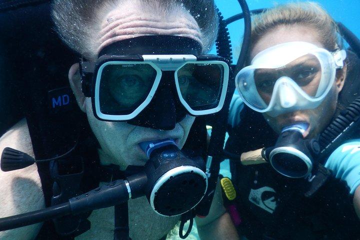 Schnuppertauchen - Whitetip Marine Adventures