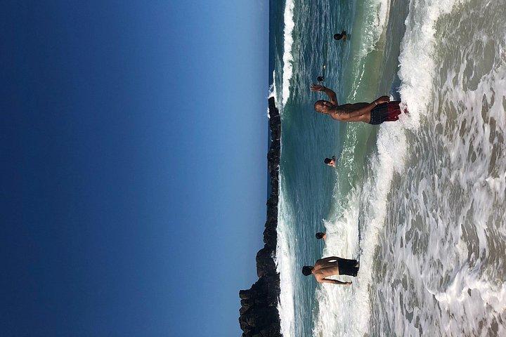 Surf en Sea Turtles Oahu Tour
