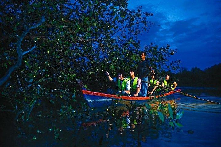 Erstaunliche Kuala Selangor Fireflies Tour - Sic