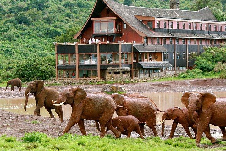 Privato safari in natura di 7 giorni in Kenya