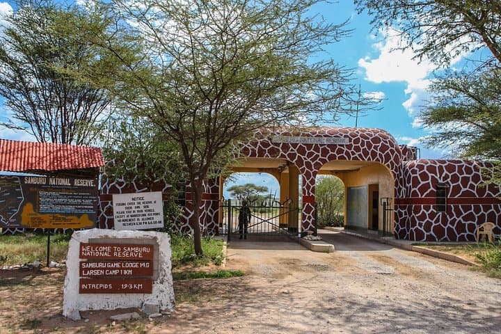 4 Days 3 Nights Samburu National Reserve & Lake Nakuru National park Safari