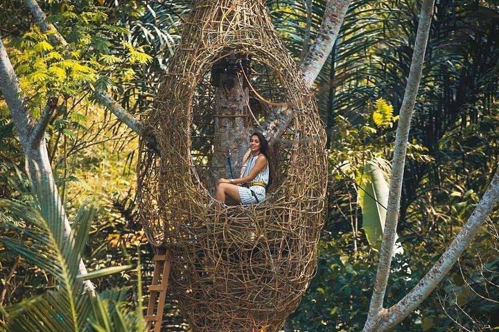 ウブド旅行、1 日でウブドを満喫 - オールインクルーシブ