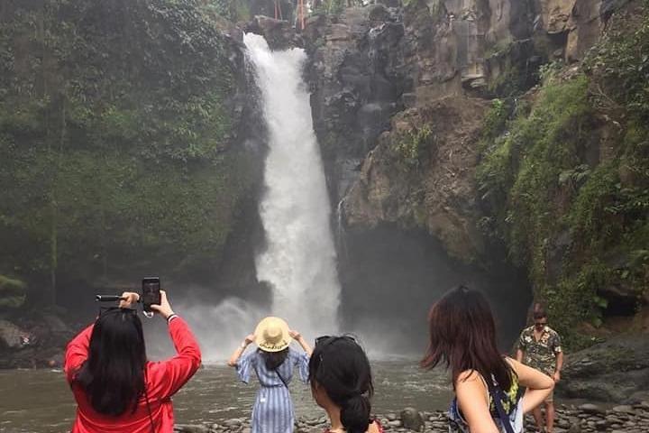 ウブド旅行、1 日でウブドを満喫 - オールインクルーシブ
