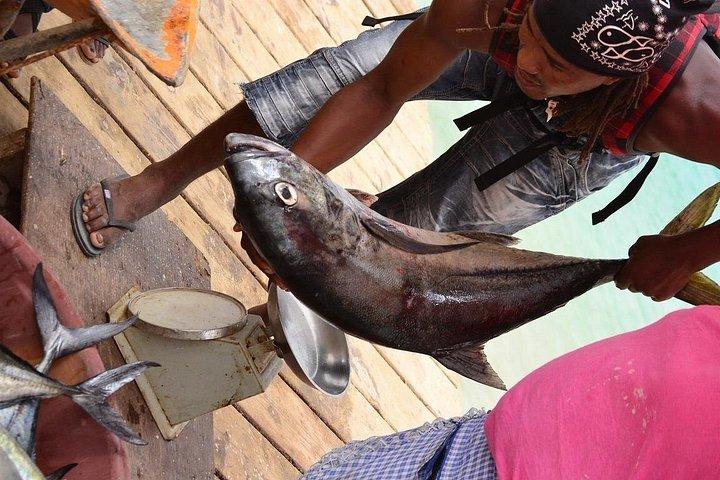 Excursión de día completo a la isla de Sal con guía nativo certificado