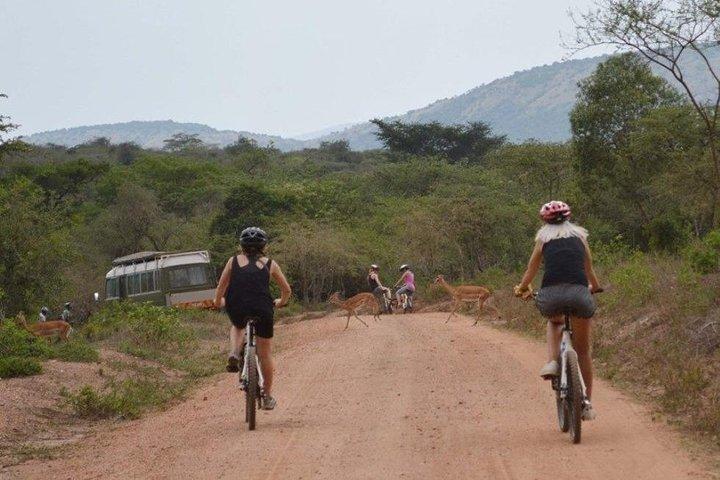 10 Tage Kenia Radsport Safari Urlaub
