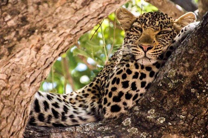 10 Days Kenya Photographic Safari Package
