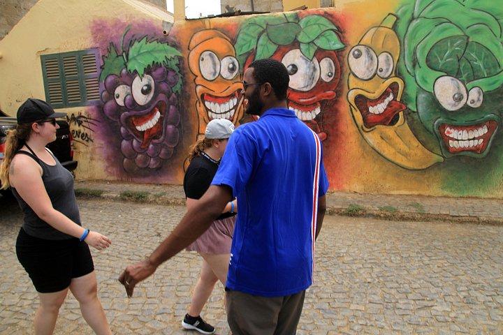 Excursión de día completo a la isla de Sal con guía nativo certificado