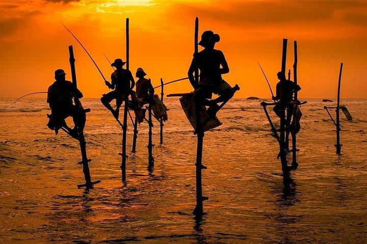 Endagsudflugt til det sydlige Sri Lanka