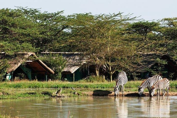 7-Days Wildlife Private Safari Aberdares, Mount Kenya, Lake Nakuru & Masai Mara