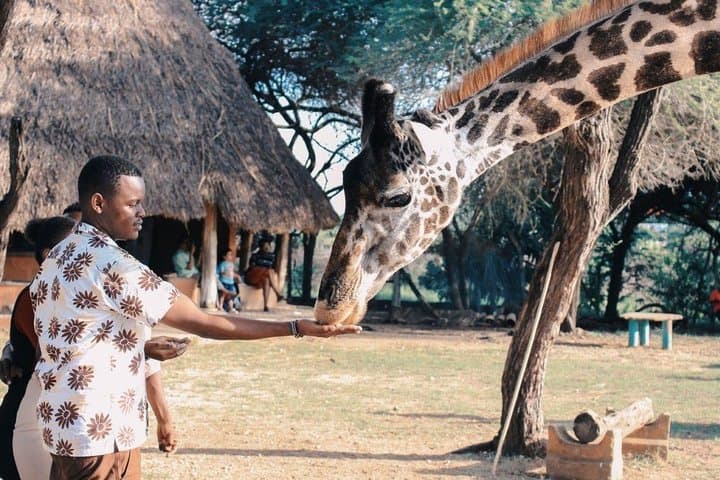 4 Days Masai Mara and Lake Nakuru National Park Private Luxury Safari