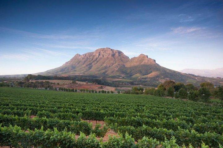 Cape Winelands Tour