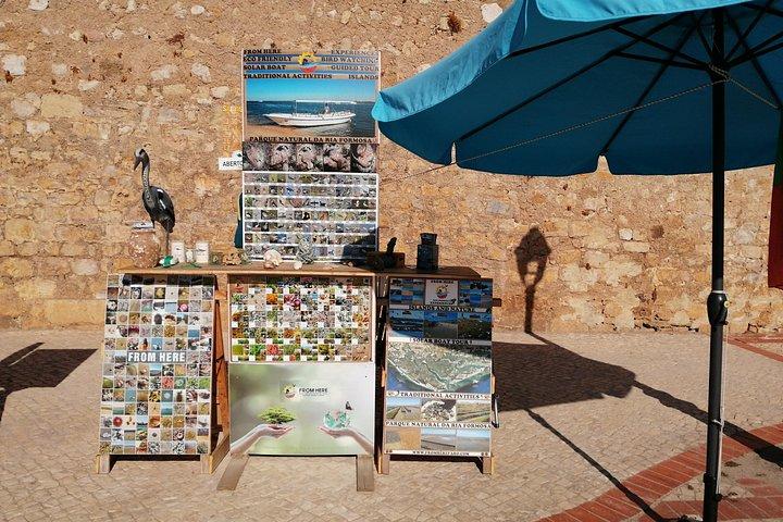 Faro Birdwatching on Solar Boat Ria Formosa