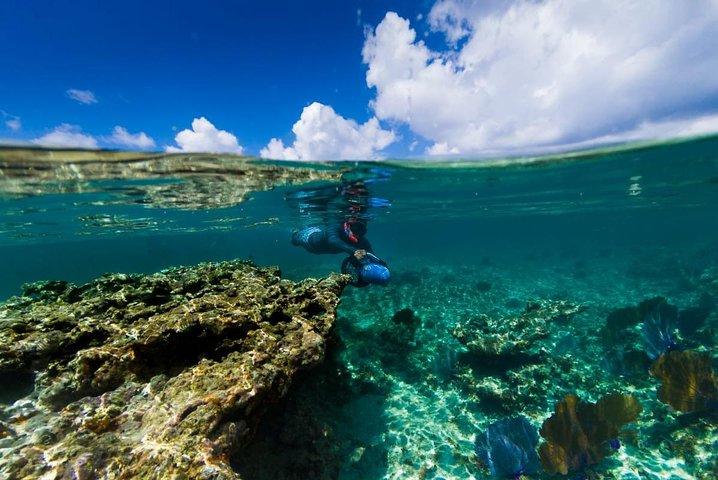 Power Snorkel By Sea Scooters & Tequila proeven