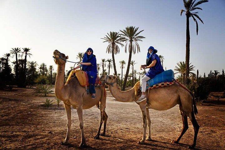 Balade en chameau à Marrakech
