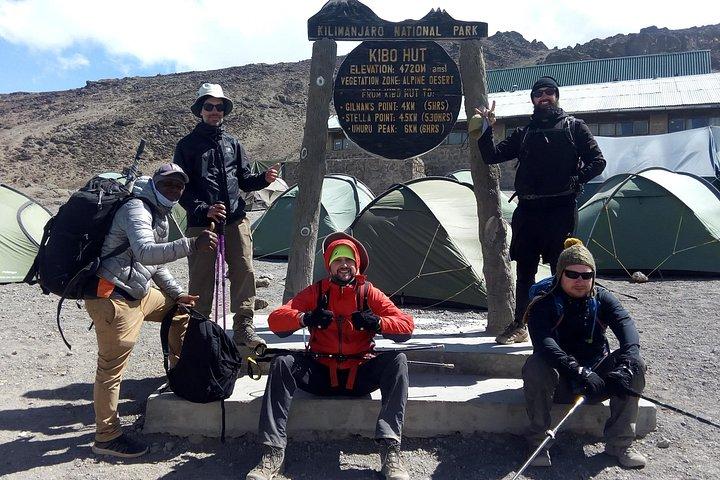 7 days Lemosho route Climbing Mt.Kilimanjaro