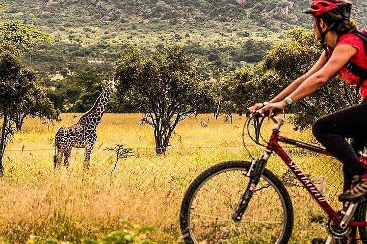 11日ケニアサイクリングサイクリングサファリアドベンチャー