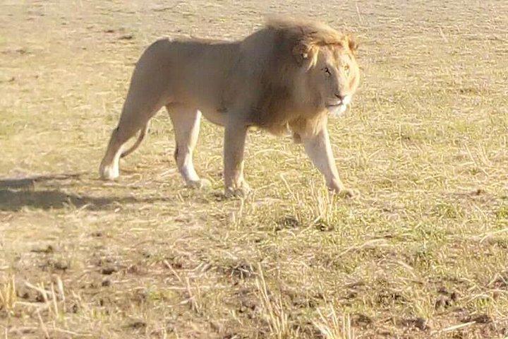 Chobe Day Trip