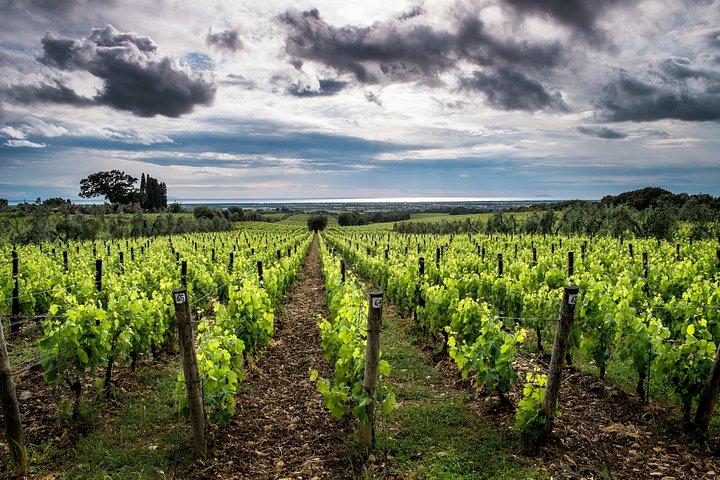 Delightful Tuscany wine experience in charming places