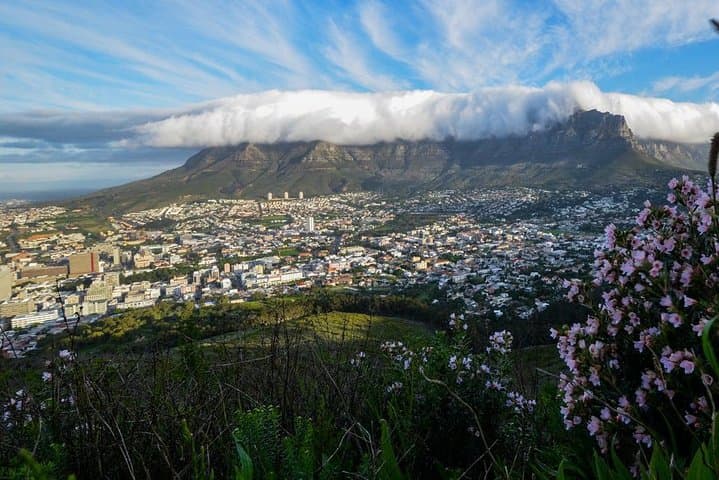 Cape Town City Tours