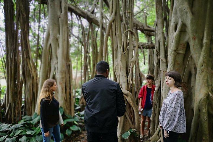 Durban from Within: An Immersive City Tour