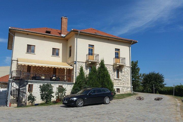 Vineyards and wine tasting experience