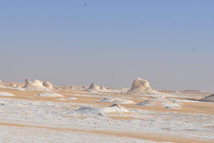 Vit & Svart Desert Safari