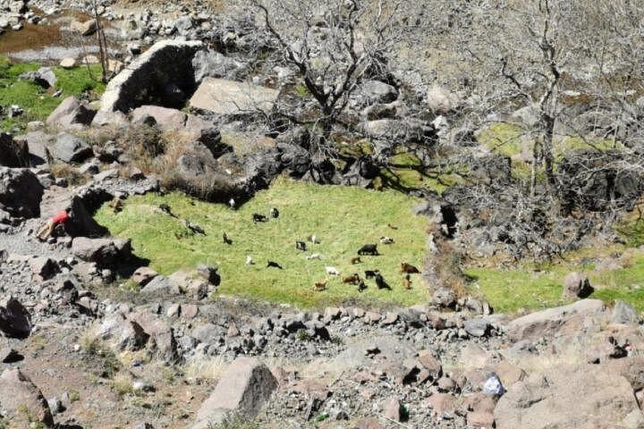 アトラス山脈、ベルベルの村、地元のように暮らす：マラケシュからのプライベートツアー