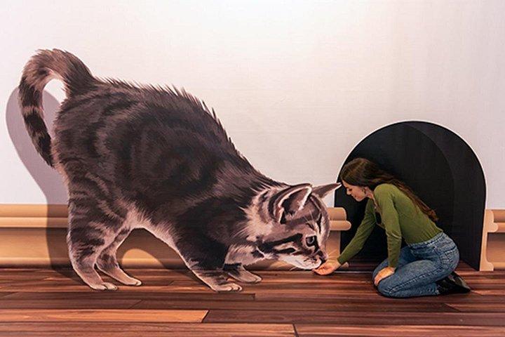 3D Fun Art Museum Funchal