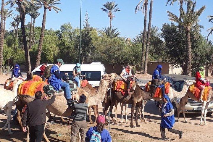 Marrakech Palmeraie 1-stündiger Kamelritt