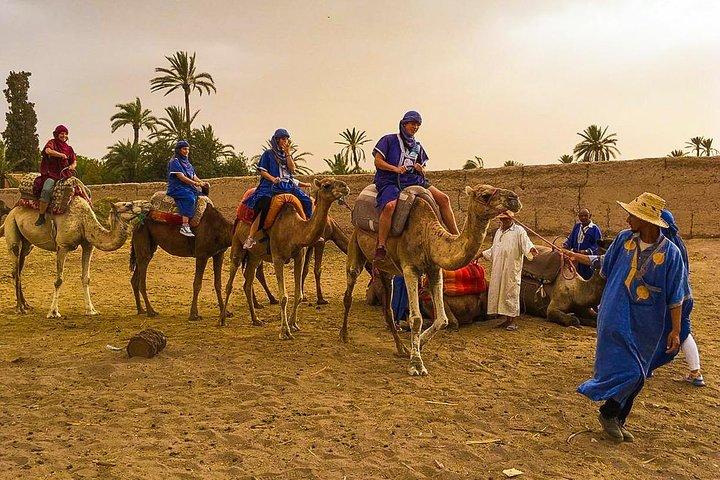 Marrakech Palmeraie 1-stündiger Kamelritt