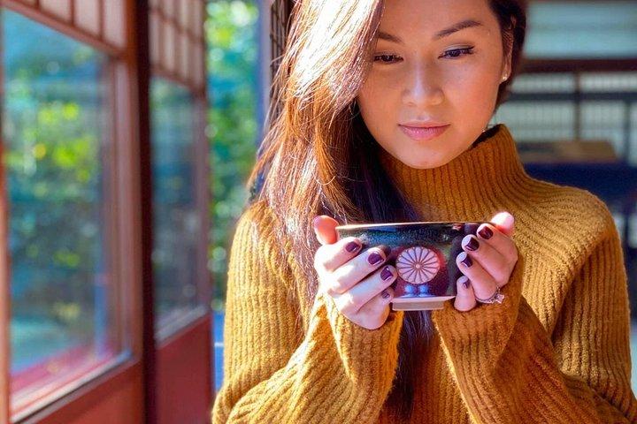 Passeio de carro particular em Kyoto (até 4)