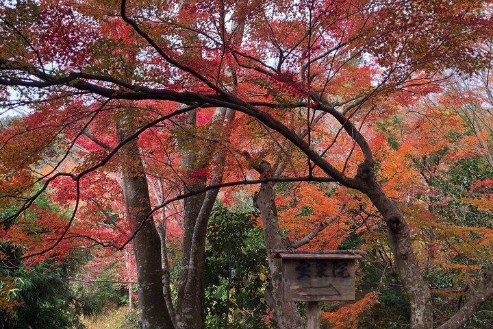 Passeio de carro particular em Kyoto (até 4)