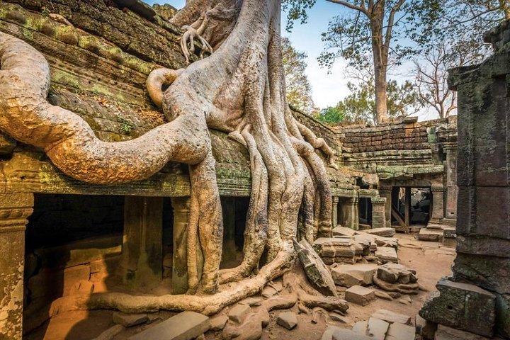 A Day Angkor Wat Tempel Tour