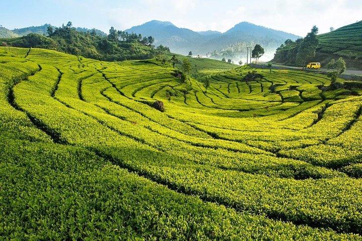 4 dag 3 natteture i byen Jakarta - Bandung