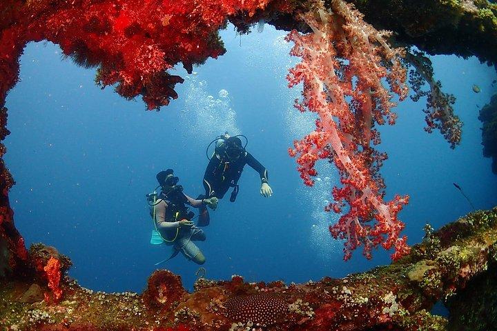 Plongée à Bali pour les débutants : épave du Tulamben Liberty