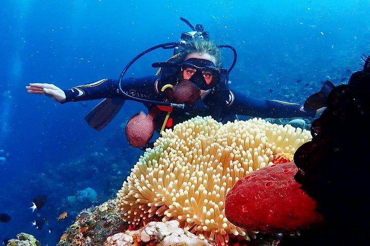 Plongée à Bali pour les débutants : épave du Tulamben Liberty