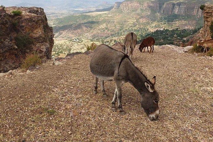 Northern Ethiopia And Danakil