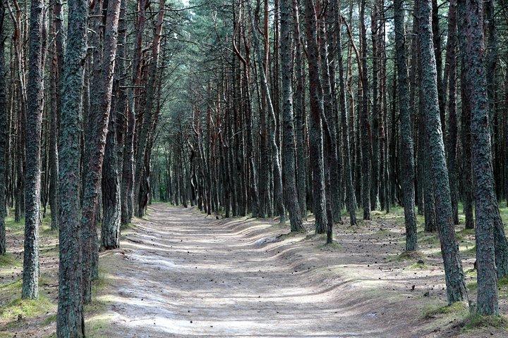 Dagstur til Curonian Spit en skat på Østersøen