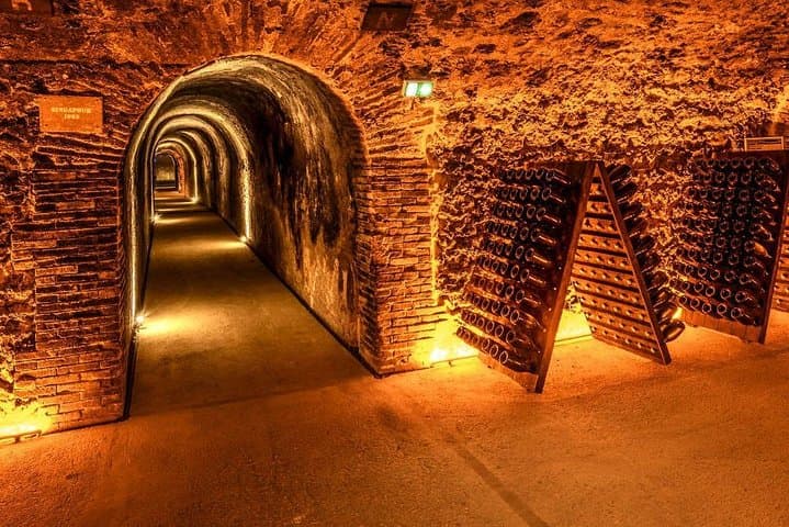 Small-Group Champagne Lunch & Tasting from Paris with Pickup