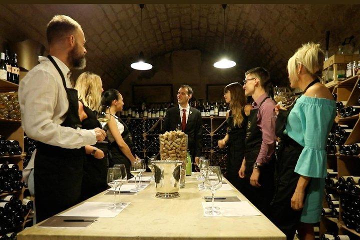 Loire Valley Wine & Castle Tour de Paris com degustação e pickup