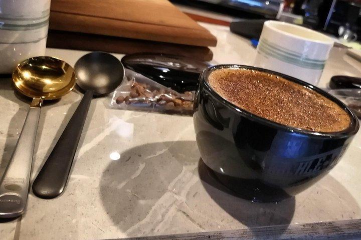 Specialty Coffee 101, History - Processing - Professional Cupping and More!