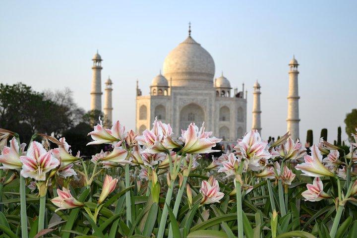 Taj Mahal Sonnenaufgang und Agra Übernachtungstour von Chennai mit Flug