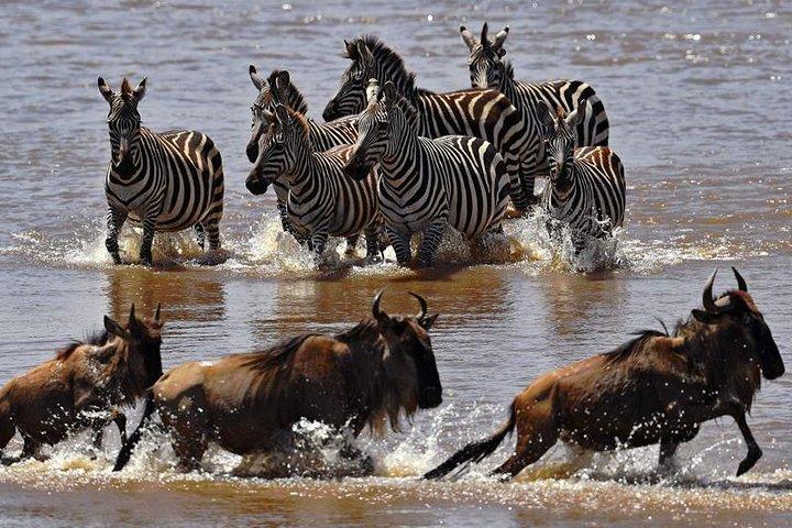11 Days Elewana Luxury Safari Packages