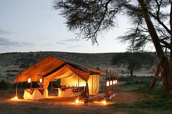 Tour guidati di fotografia naturalistica in Africa di 11 giorni