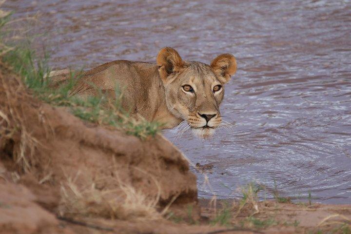 10 Days Kenya Photographic Safari Package