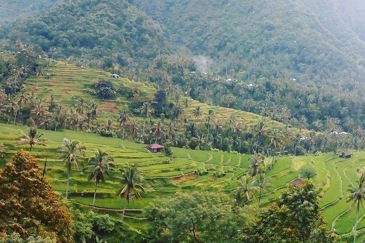 Visite de la cascade de Bali