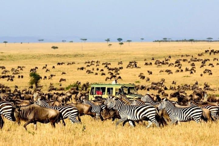 12 Days Kenya Safari Holidays