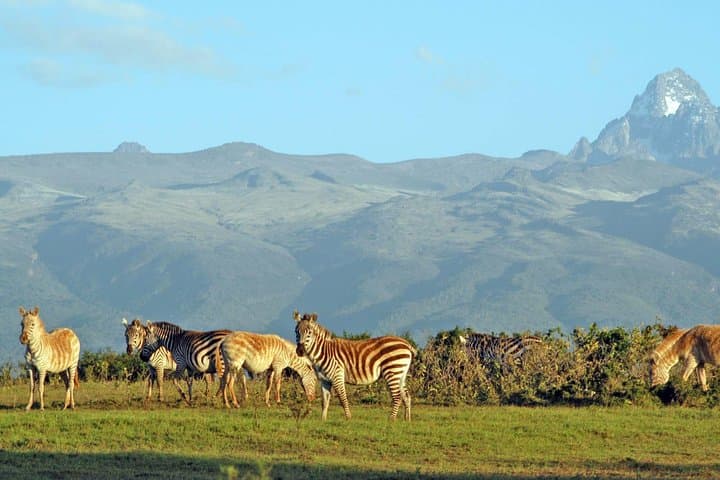 Private 5 Days Mount Kenya, Lake Nakuru & Masai Mara Wildlife Safari